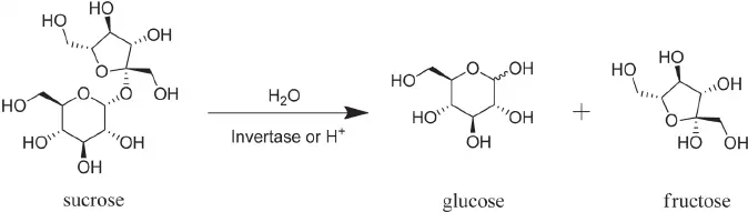 Inversion of Sucrose into Glucose and Fructose catalysed by Invertase
