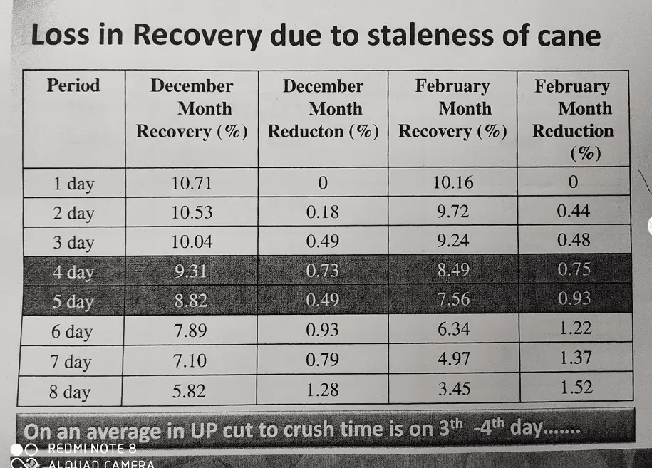 Loss in Recovery due to Staleness of Cane