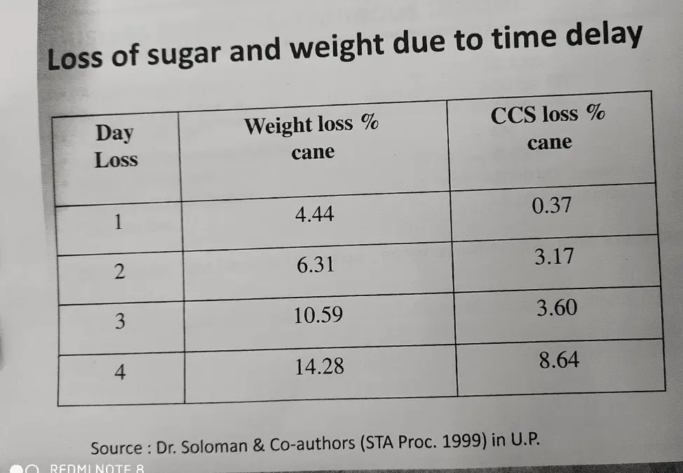 Loss of Sugar and Weight due to Delay
