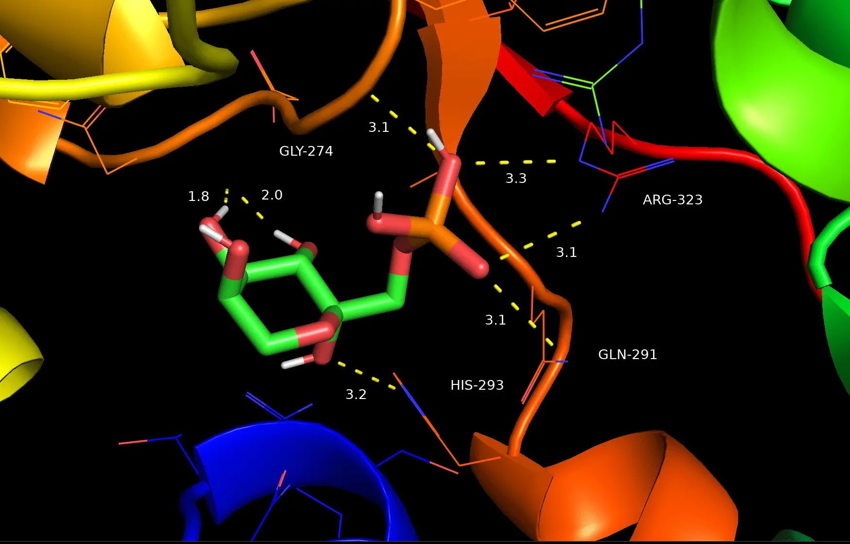 Visualisation of interactions between FruR and F1P on PyMol