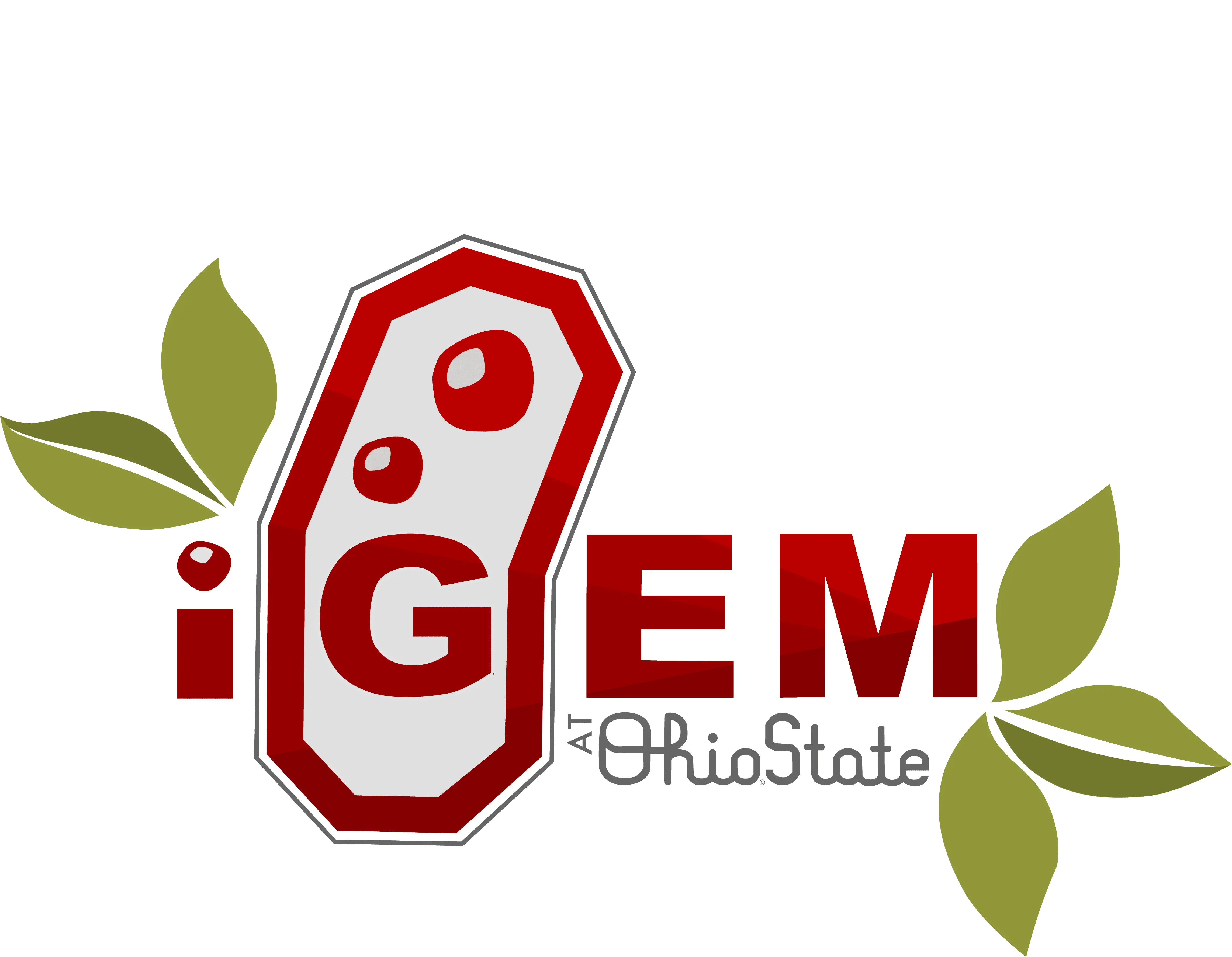 iGEM Ohio State University