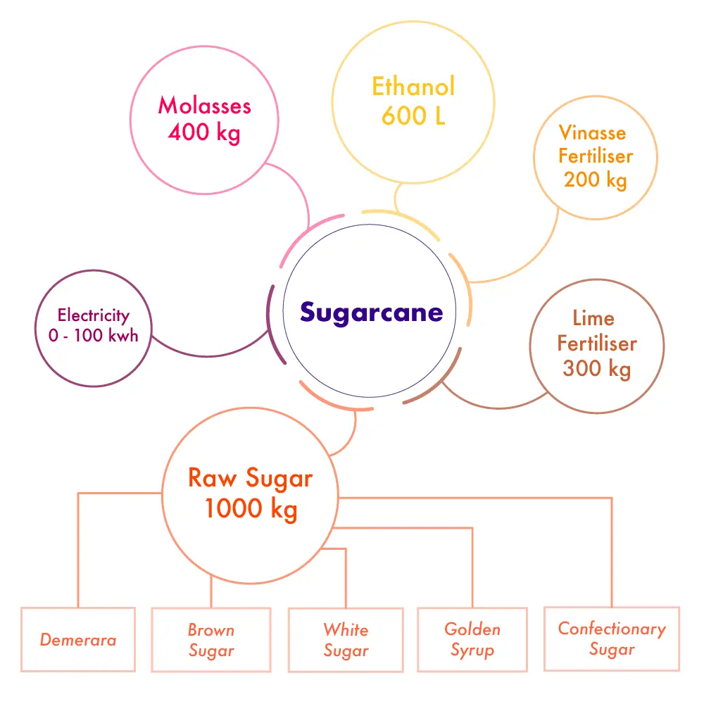 Sugarcane and allied industries