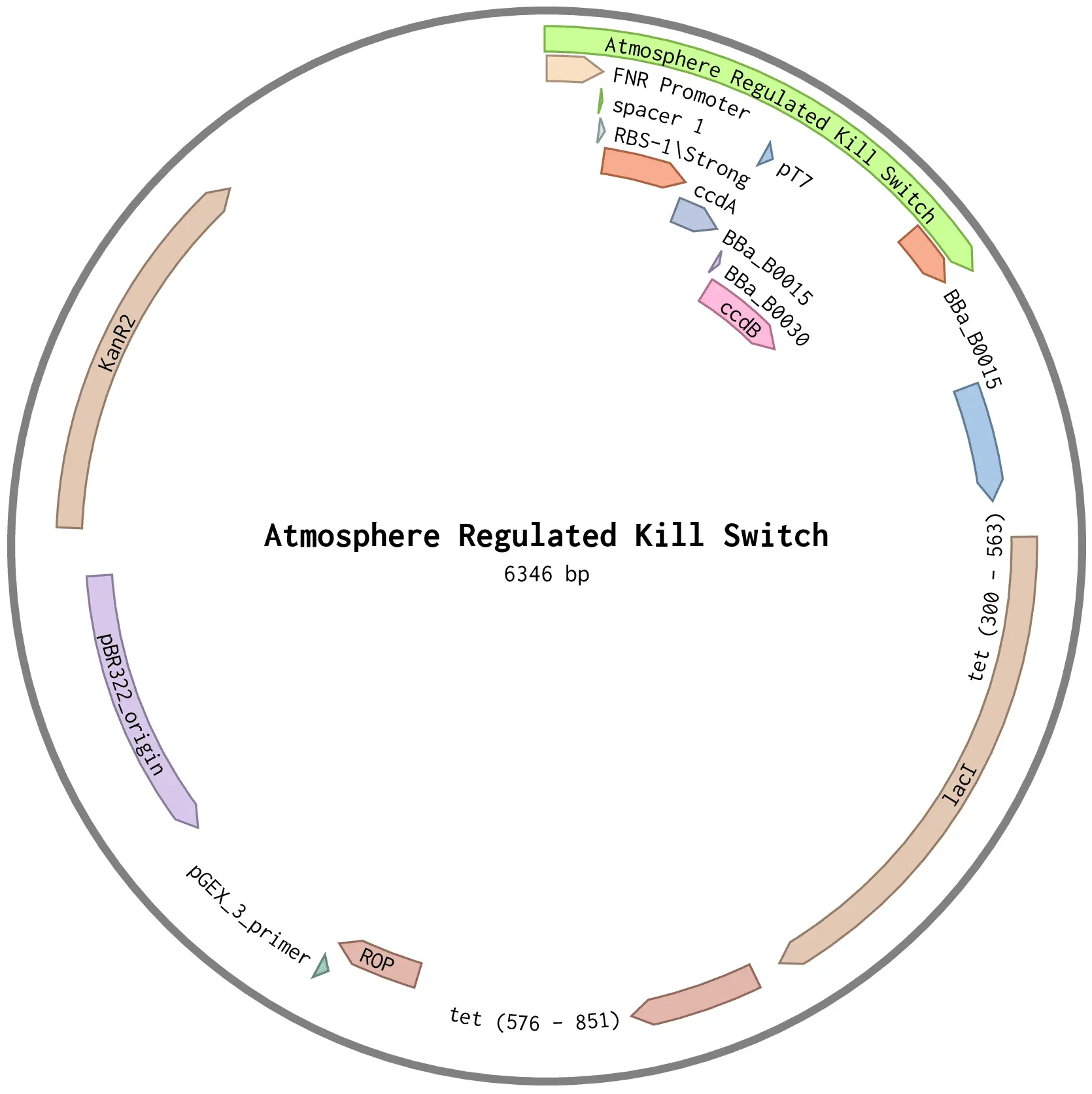 Plasmid for the Atomsphere-regulated Kill Switch
