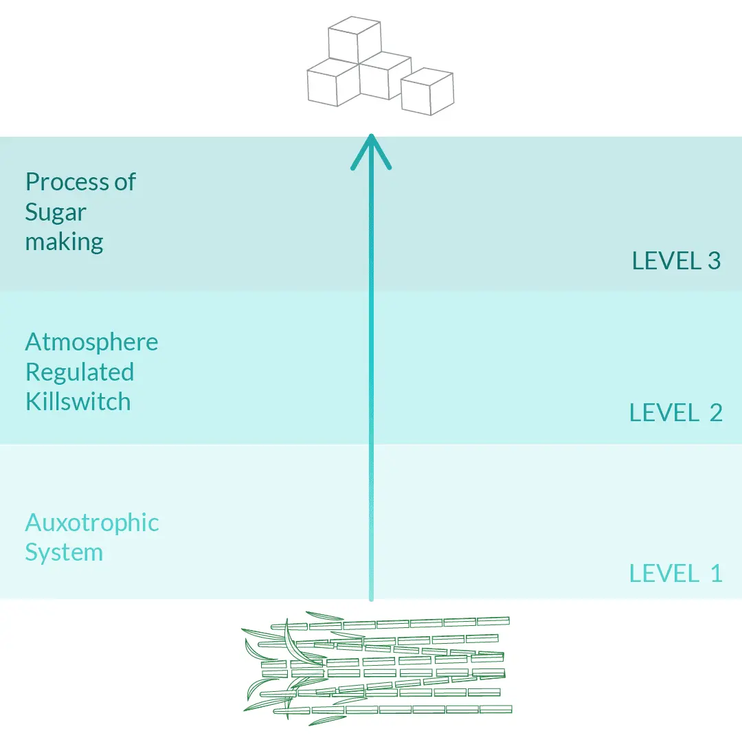 Levels of biosafety in our project